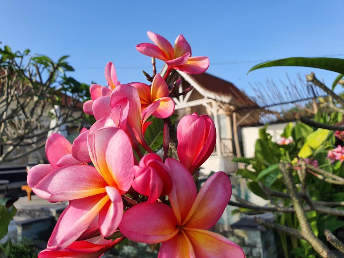 De Jantux Villa Uluwatu Екстериор снимка